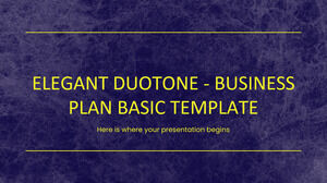 Duotone élégant - Modèle de base de plan d'affaires