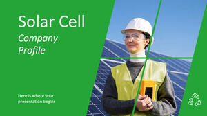 Profilul companiei cu celule solare