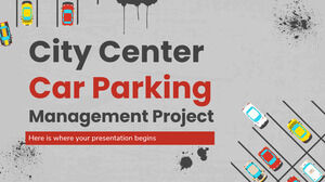 Progetto di gestione dei parcheggi del centro città