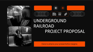 Предложение проекта подземной железной дороги