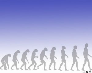 Modèle Evolution PowerPoint humain