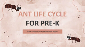 Cycle de vie des fourmis pour le pré-K