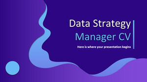 Lebenslauf des Datenstrategiemanagers