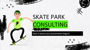 Consultoria em Skate Park
