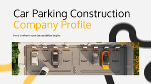Профиль компании по строительству парковок