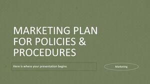 政策和程序的营销计划