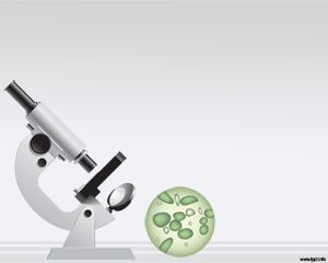 PPT Biology PPT Biology
