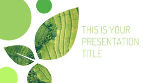 環境の葉。 無料の PowerPoint テンプレートと Google スライドのテーマ