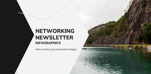 Networking Newsletter Infographics