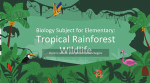 موضوع علم الأحياء للمرحلة الابتدائية: الحياة البرية في الغابات الاستوائية المطيرة