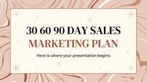 30 60 90 天 - 銷售營銷計劃