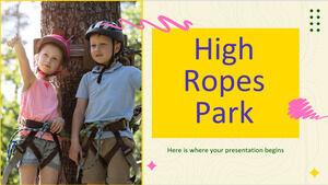High Ropes Park