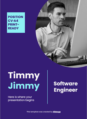 Software Engineer CV