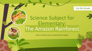 小学校の科学科目 - 1 年生から 5 年生 - アマゾンの熱帯雨林