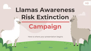Campagne de sensibilisation aux risques d'extinction des lamas