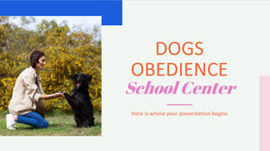 Школа послушания собак