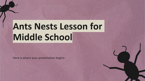 Ants Nests Lesson for Middle School