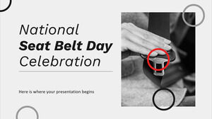 National Seat Belt Day Celebration