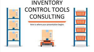 Inventory Control Tools Consulting