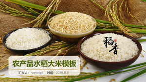 Șablon PPT cu tema parfumului de orez cu panicule de orez și fundal cu trei boluri de orez