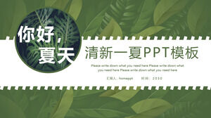 Hallo mit exquisitem pflanzengrünem Blatthintergrund, Sommer-PPT-Vorlagen-Download