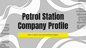 Perfil da Empresa Posto de Gasolina