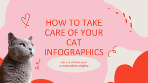 如何照顧你的貓信息圖表