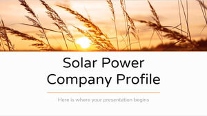 Profil de l'entreprise d'énergie solaire