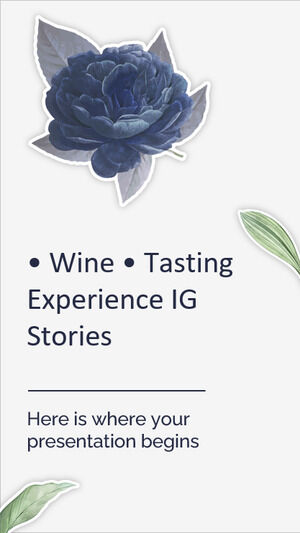 Опыт дегустации вин IG Stories