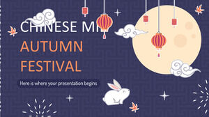 Festival cinese di metà autunno
