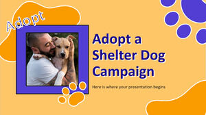 Adopt a Shelter Dog Campaign