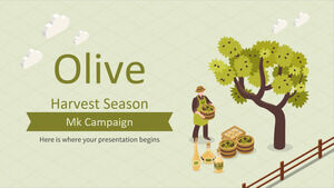 Olive Harvest Season MK Campaign