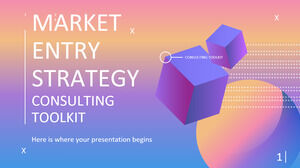 Setul de instrumente de consultanță privind strategia de intrare pe piață