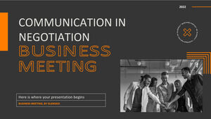 Communication in Negotiation Business Meeting