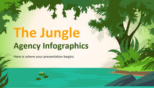 L'infografica dell'agenzia della giungla