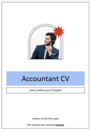 Accountant CV