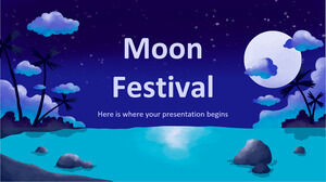 Festival da Lua