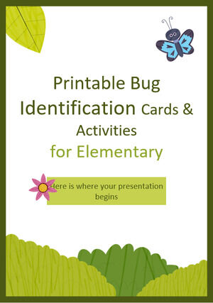 Druckbare Käferidentifikationskarten und Aktivitäten für Grundschüler