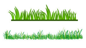 Emballage et téléchargement de matériel Vector Green Grass PPT