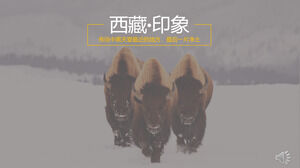 Plantilla de PowerPoint de viaje-Tíbet · Impresión