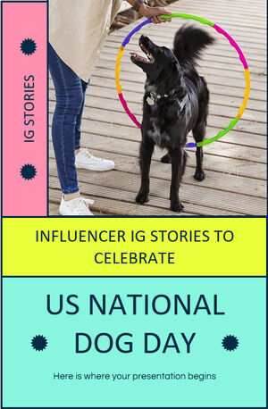 有影响力的 IG 故事庆祝美国狗日