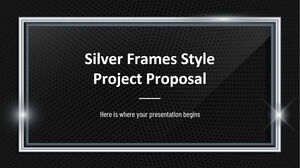 Предложение проекта в стиле Silver Frames