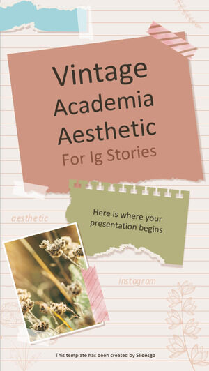 Vintage Academia Aesthetic สำหรับ IG Stories