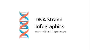 Infografica del filamento di DNA