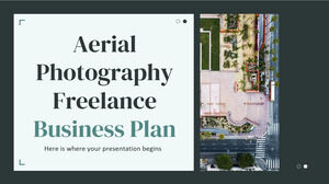 Plano de negócios freelance de fotografia aérea