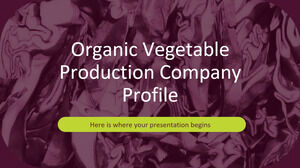 Profil de l'entreprise de production de légumes biologiques