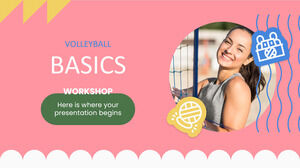 Volleyball Basics Workshop