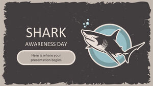 Journée de sensibilisation aux requins