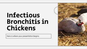 Bronchite infettiva nei polli