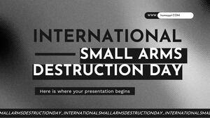 Internationaler Tag der Vernichtung von Kleinwaffen